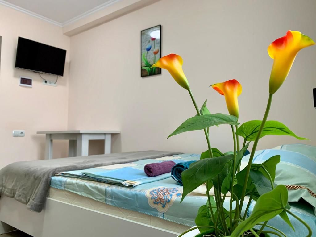 Гостевой дом Аида групп Алматы-34