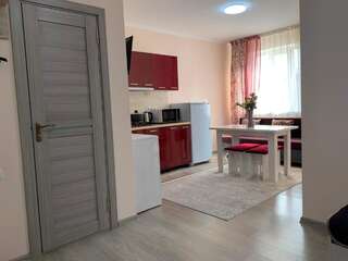 Гостевой дом Аида групп Алматы Бюджетный двухместный номер с 1 кроватью-6